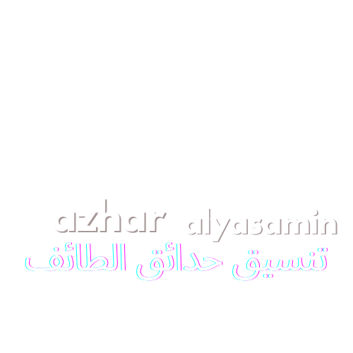 تنسيق حدائق الطائف أزهار الياسمين